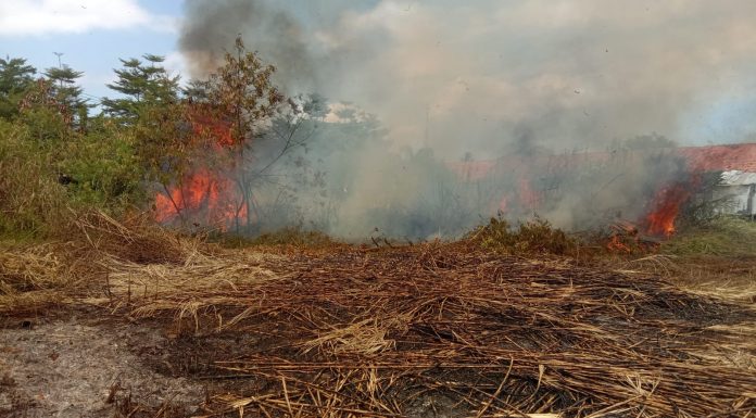 Kebakaran Lahan Kembali Terjadi di Desa Keresek, Kecamatan Cibatu