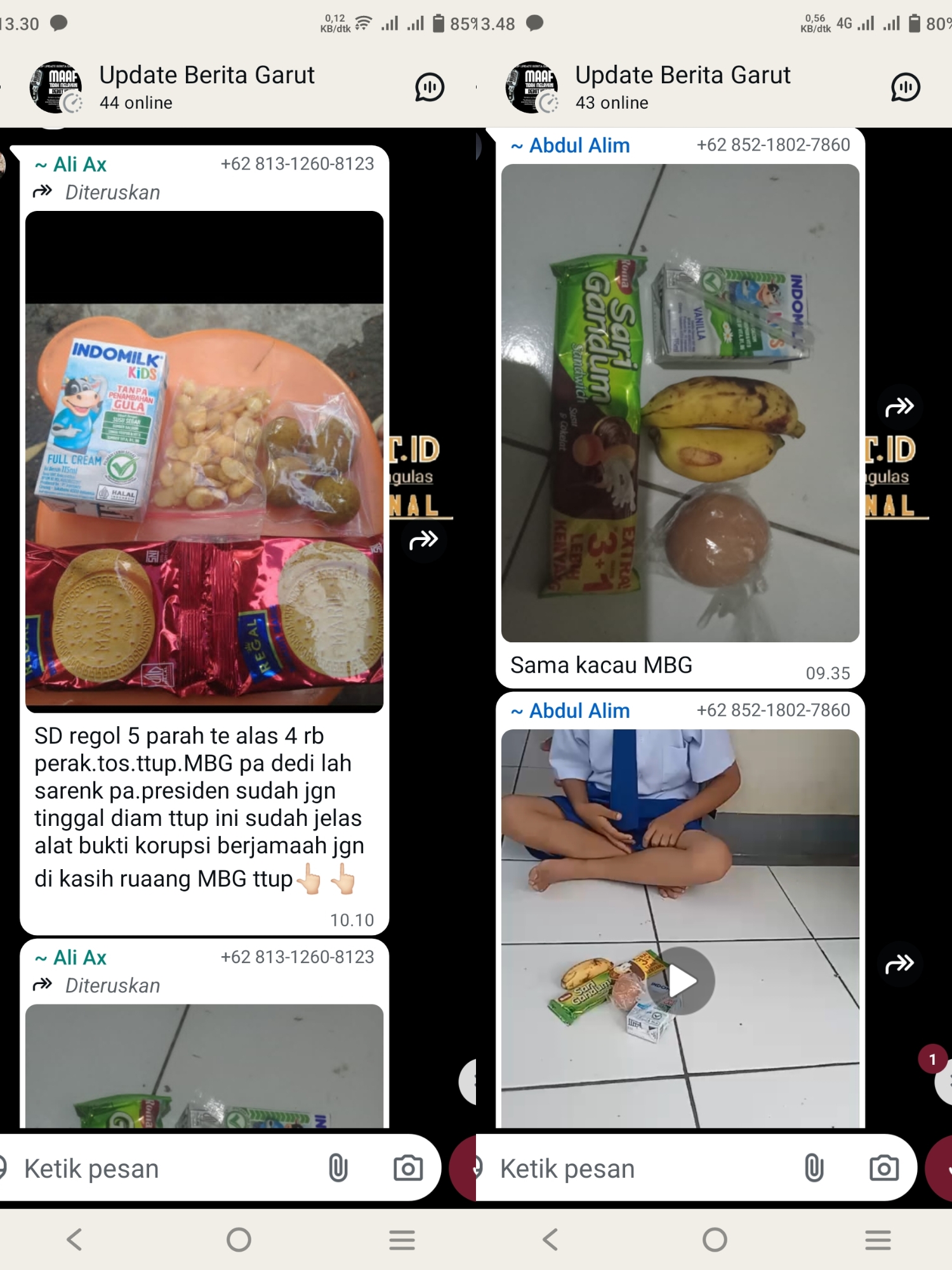 Foto dan Video Paket MBG Viral di Garut, Muncul Pertanyaan soal Kelayakan Porsi