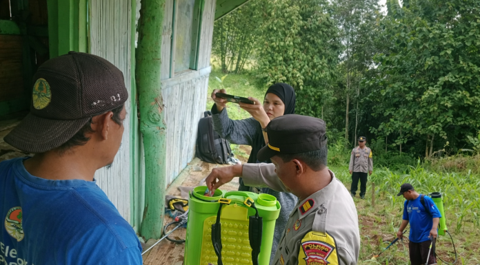 Dari Keamanan ke Pertanian. Polisi di Garut Dampingi Petani Rawat Jagung