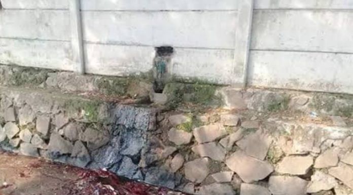 DLH Garut Hentikan Aktivitas Rumah Potong Hewan Ilegal, Limbah Dinilai Cemari Lingkungan