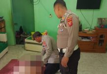 Sentuh Kabel Listrik, Nyawa Penebang Pohon Tak Tertolong