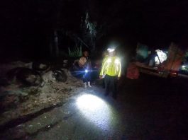 Alami Rem Blong, Truk Bermuatan 8 Ton Beras Nyungsep di Tanjakan Pengantin