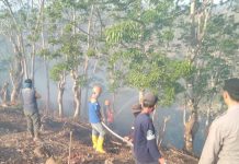 Kebakaran Lahan 5 Hektare di Cikelet, Diduga Berawal dari Pembakaran Sampah