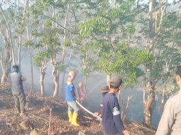 Kebakaran Lahan 5 Hektare di Cikelet, Diduga Berawal dari Pembakaran Sampah