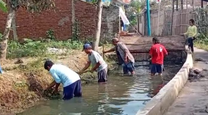Dari Sungai Cimaragas, BUDIDAS Gaungkan Semangat Kemerdekaan Lingkungan