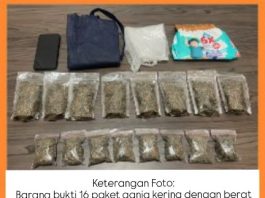 Satresnarkoba Polres Garut Ungkap Dugaan Peredaran 315,5 Gram Ganja