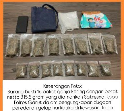 Satresnarkoba Polres Garut Ungkap Dugaan Peredaran 315,5 Gram Ganja